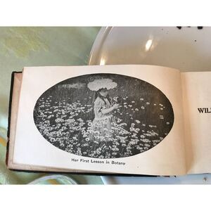 Antique flower book Flower Guide Wild Flowers East of the Rockies 1916